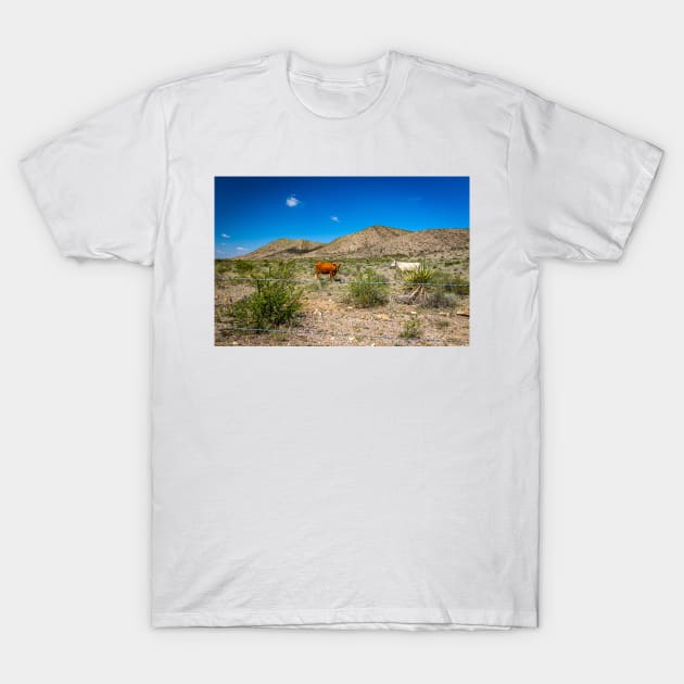 Criollo Cattle on the Open Range T-Shirt by Gestalt Imagery